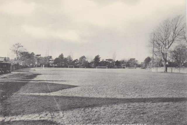 The playing fields, from the Downview Road side towards Grand Avenue