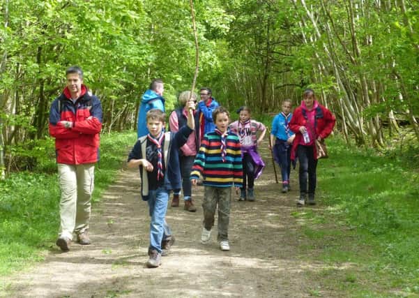 Billingshurst Cubs and parents on the Monarch's Way SUS-140516-150021001