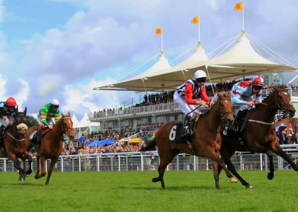There's action at Goodwood on Friday evening and Sunday, then at Fontwell on Tuesday  Picture by Chris Hatton