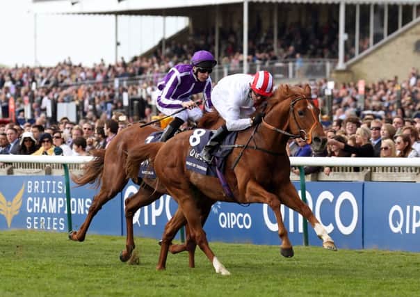 Night of Thunder wins the 2000 Guineas at Newmarket  Picture by Richard Marsham / RMG Photography