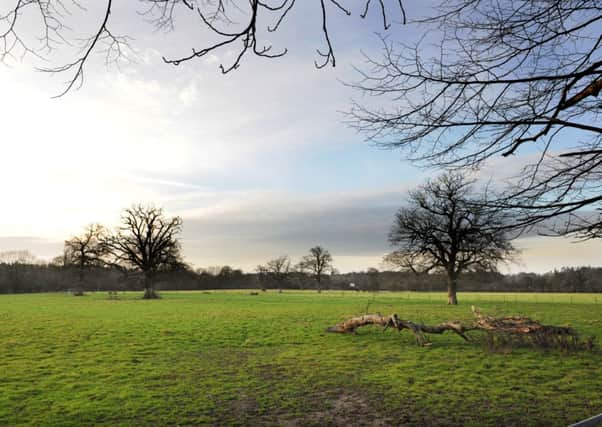 Land were 2,500 homes and a new business park could be built  north of the A264.