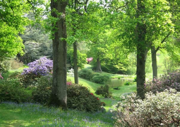 High Beeches has been named as one of the seven best places to see wildflowers