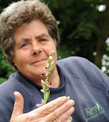 Trudy Ede with a bee orchid