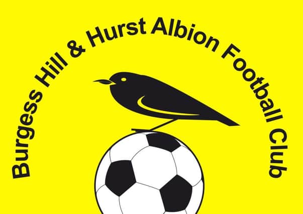 Burgess Hill and Hurst Albion FC