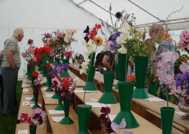 Cowfold Horticultural Societys Summer  Show held on Saturday 5 July as part of Cowfold Village Fete
