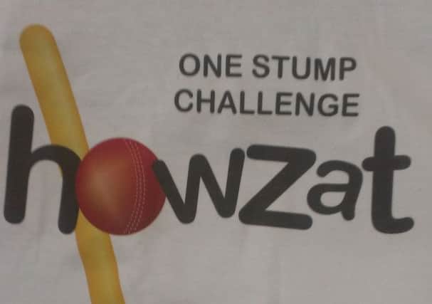 Worthing took part in the One Stump Challenge