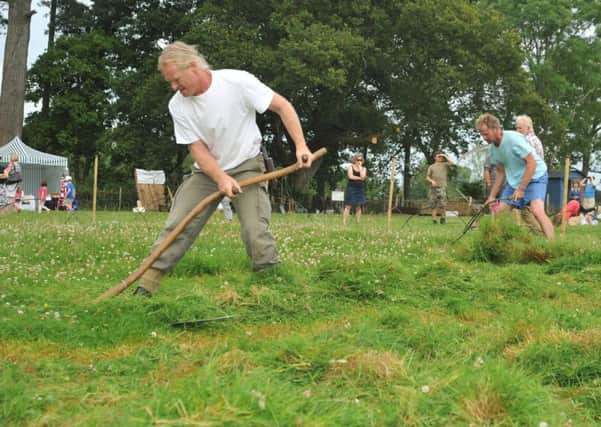 Scything and Cider Festival, Wakehurst Place 2014 Scything competition -  Final SUS-140723-131307001