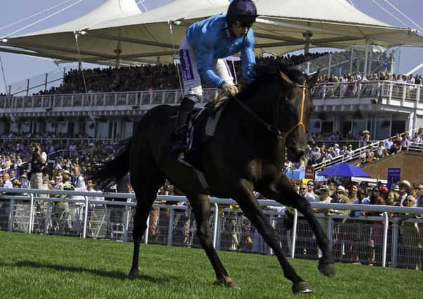 Brown Panther wins the 2013 Goodwood Cup and Tanya Stevenson reckons Estimate is a strong contender to take it this year  Picture by Chris Hatton