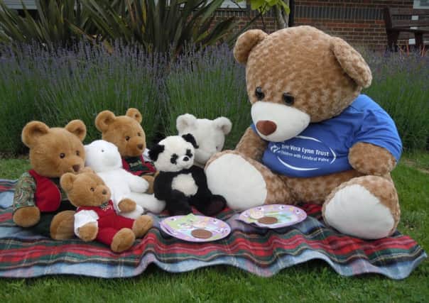 DVLT Teddy Bear's picnic event SUS-140725-110733001