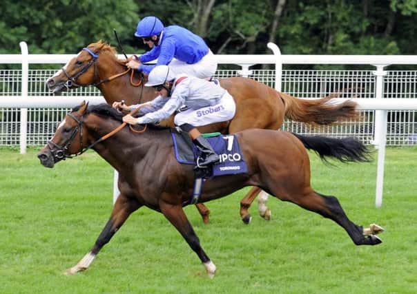 Toronado (Richard Hughes) gets up to win the 2013 Sussex Stakes - can he do it again by defeating Kingman?  Picture by Malcolm Wells