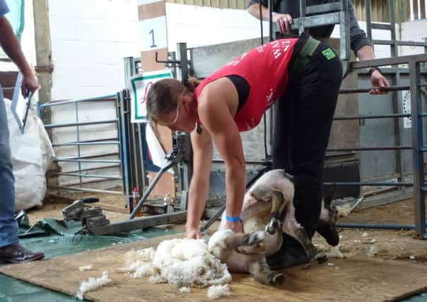 Jolene Cutting winning the Ladies Class at the Southern Shears UK sheep shearing competition SUS-140729-151454001