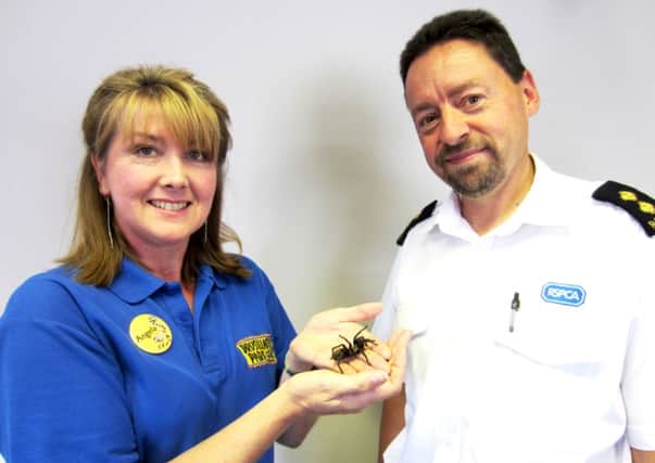 Drusillas Parks spider expert Angela Hale with RSPCA Inspector Tony Woodle and the South American tarantula