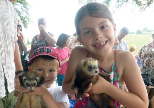 Ben Braganza, five, and sister Charlotte, eight, had fun with the ferrets at the Mile Oak Farm charity open day