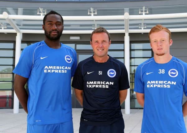 Albion new signings