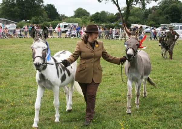 Donkey Parade Coral Weaver with Pere Hill Snowley and Oakley SUS-140508-122154001