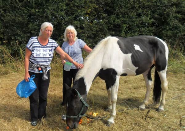 Jane Wild (left) with Eileen Mayes and the abandoned horse in Ford SUS-140826-140808001