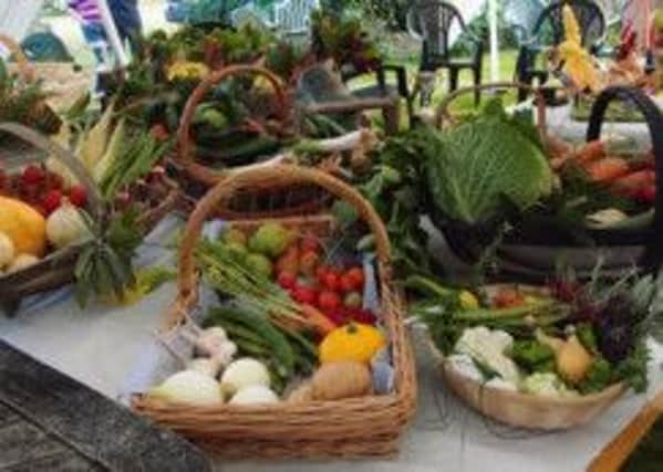 Maplehurst village vegetable competition SUS-140909-142016001