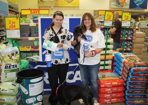 RSPCA at Horsham Pets at Home shop. Molly Foster and Jo Worsley with rescue dogs Trixie and Poppy - photo submitted by RSPCA