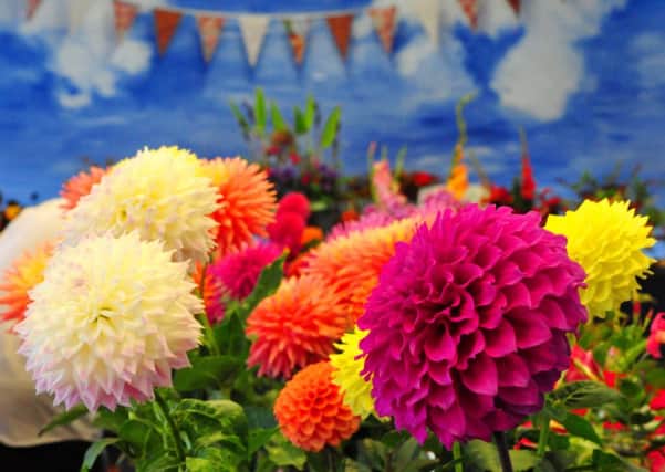 20/9/14- Crowhurst Horticultural Society Autumn Show. SUS-140920-183305001
