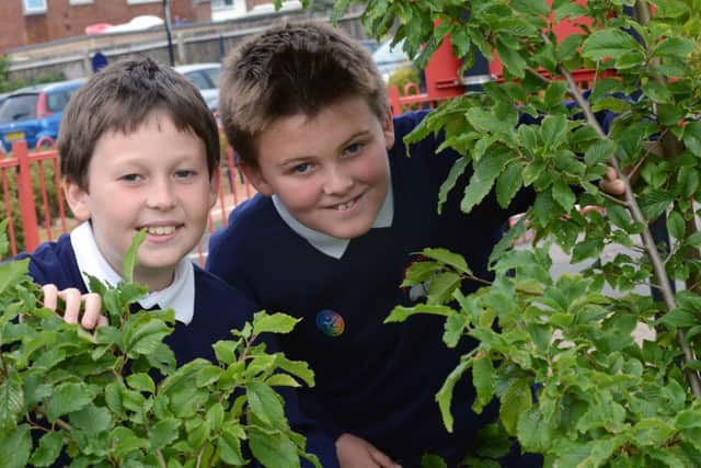 Olly Blann and Brodie Atkinson with the elm tree project L39535h14