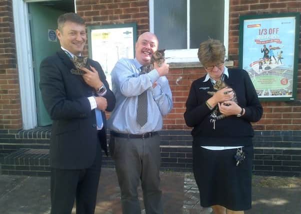 Kittens found in station toilets continue their recovery