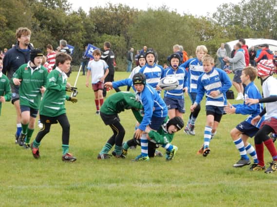 Hastings & Bexhill Rugby Club's under-12s in action at the club's annual Minis Festival on Sunday