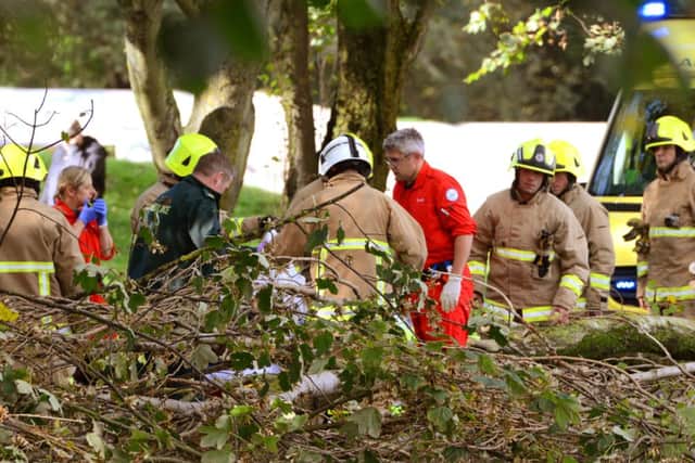 Working to release the women trapped under a fallen tree at Southwick Recreation Ground D14421340a