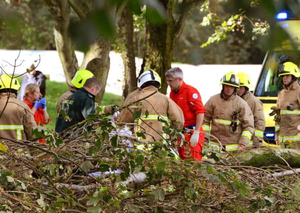 Working to release the women trapped under a fallen tree at Southwick Recreation Ground D14421340a