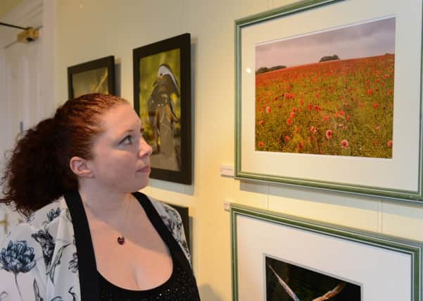 Museum curator Juliet Thomas looks at Roy Whites photographic display D14421072a
