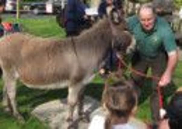 David Cross from Mile Oak Farm with Albert the donkey