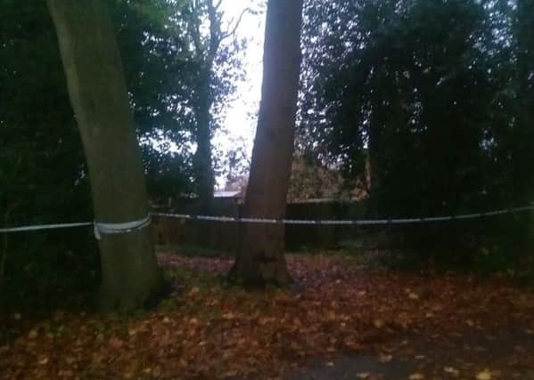 Police have cordoned off and are searching an area in Horsham Park - picture by James Oxenham