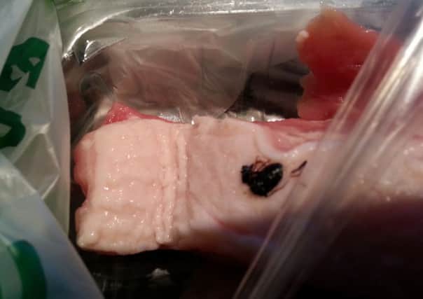 Beetle found in a packet of pork belly slices