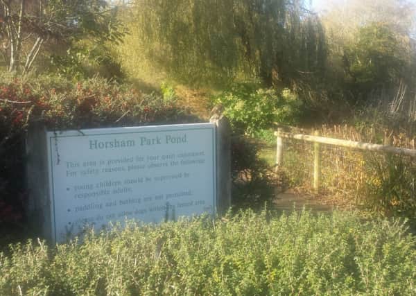Horsham Park's Pond has been closed due to a rat infestation (JJP/Johnston Press). SUS-141011-145607001