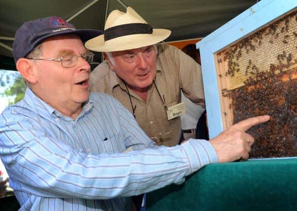 Gordon Allan and Roger Patterson of Wisborough Green Beekeepers Association at last years Cranleigh Agricultural Society Show.  S13320793x