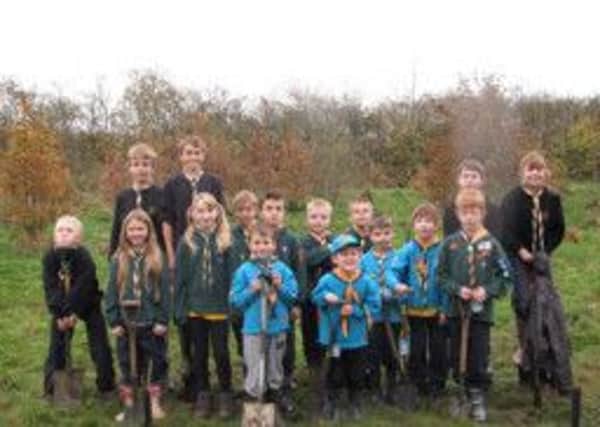 Southwater Scouts at the tree planting