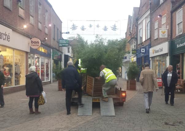 Bamboo planters in West Street removed by the council (Johnston Press/JJP). SUS-141124-103522001