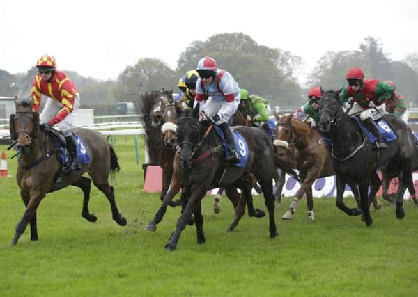 Georghous Lliege (centre) won the totepool Southern National last time out at Fontwell   Picture by Clive Bennett