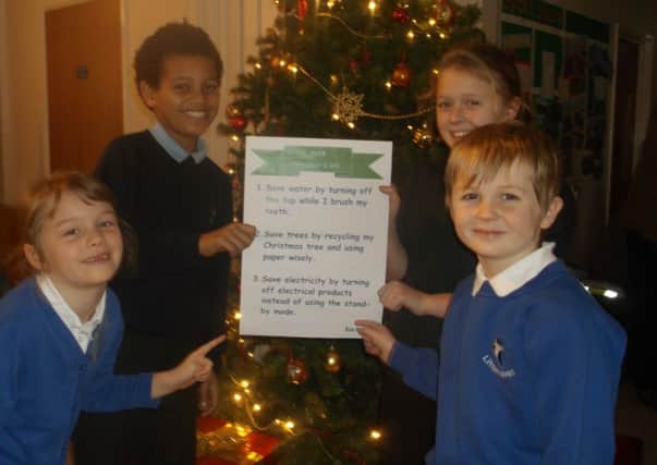 Roffey pupils take up eco pledge SUS-141216-115017001