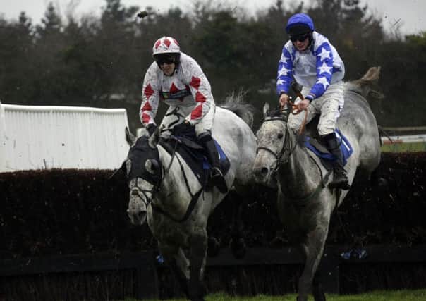 There's a great yearof jump racing ahead at Fontwell Park   Picture by Clive Bennett