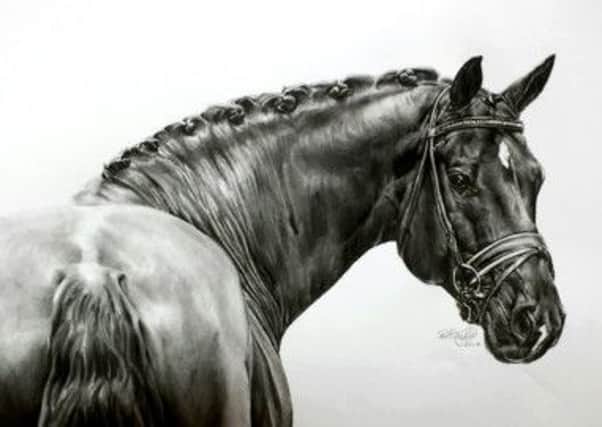 Graphite pencil drawings by Rebecca Taylor