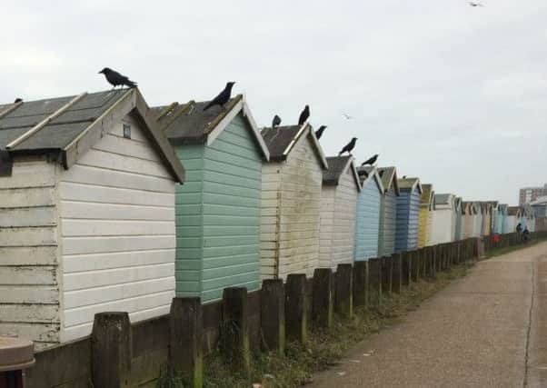 Beach hut owners are urged to join Adur Art Trail