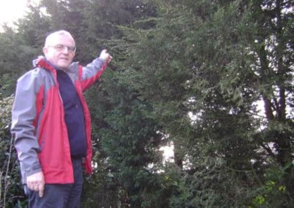 Bill Ovenden points to the hedge he fell from