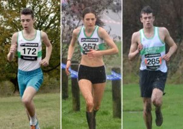 Ben Collins, Rose Ellis and Harry Leleu  Picture montage by Lee Hollyer