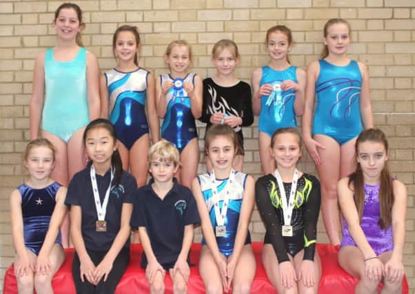 Arun gymnasts line up for the south east regional tournament