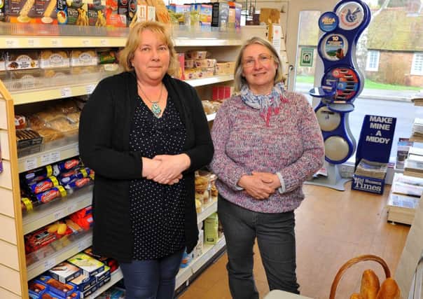 Wealden stores are down on sales. Co-owners Janine Watts and Dawn Hall. Pic Steve Robards SUS-150127-121727001