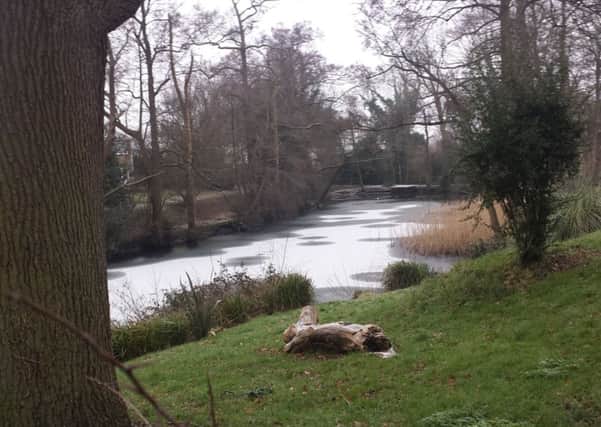 Pond frozen off Harwood Road, Horsham SUS-150302-093053001