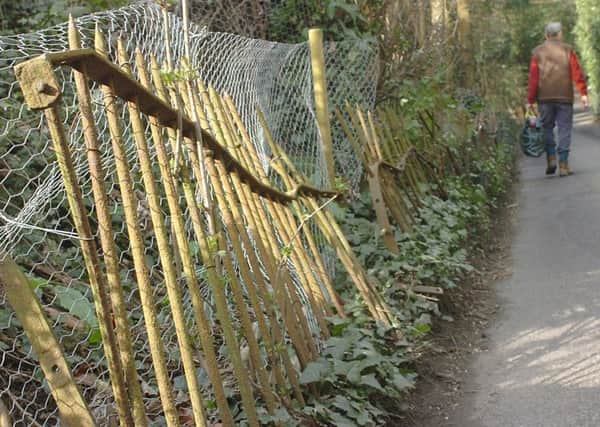 17/3/09- Protruding and damaged fencing in Deadman's Lane, Rye.
Photo by Steve Hunnisett