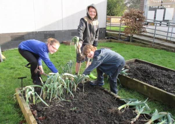 Slinfold School pupils dig up the leeks they planted to sell SUS-150602-122646001