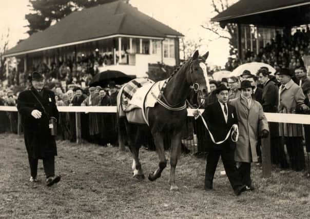 National Spirit is paraded at Fontwell in 1965 - when the first National Spirit Hurdle was run