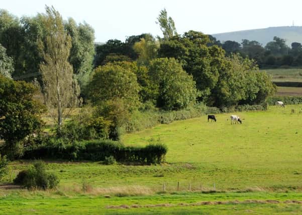 JPCT 170912 Countryside east of Henfield. Photo by Derek Martin ENGSUS00120120917171256